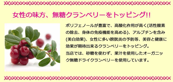 【クリスマス】【冬ギフト】【手土産】【誕生日】ビューティーべリーのレアチーズケーキ（6個入） 6枚目の画像