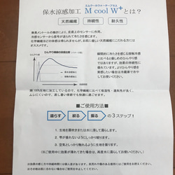 幼児、子供サイズ 保水冷感に変更可能 チェリーマスク 立体マスク 夏マスク 3枚目の画像