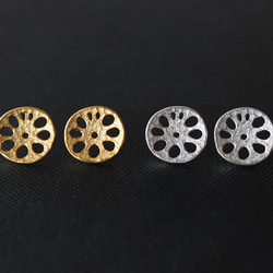 レンコンピアス M〔 sv / gold plating or rhodium plating 〕 1枚目の画像