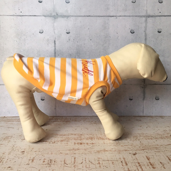 犬服 名入れ ［オトナな筆記体］防蚊＆クール タンクトップ ／ボーダー