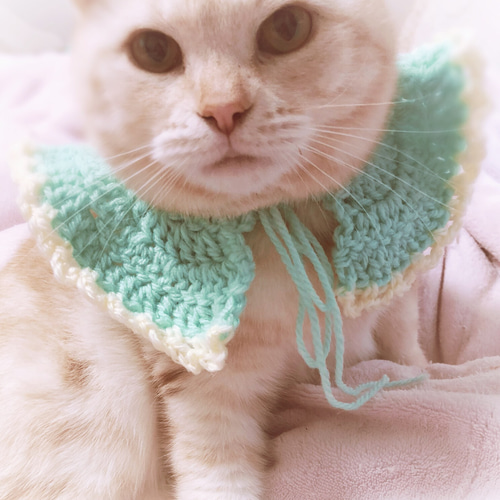 楽天市場】特価！！猫用首輪 ☆ お花 キラキラ ビジュー 首輪