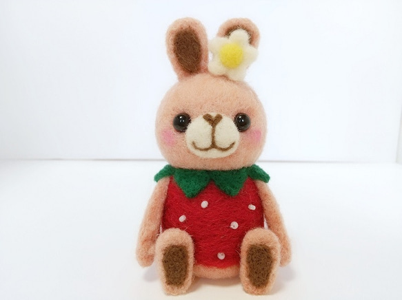 草莓兔 第1張的照片