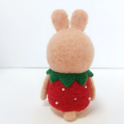 草莓兔 第4張的照片