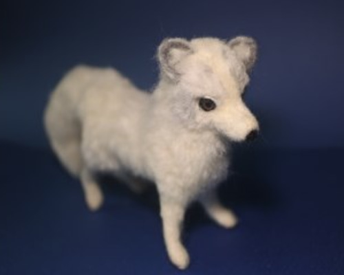 4_ca676634547728f2b4971a574707