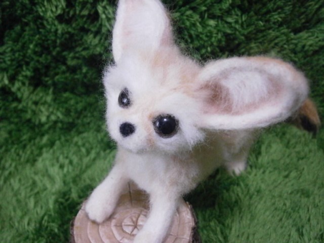 羊毛フェルト　フェネック