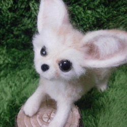 羊毛フェルト　フェネック フェネックの子 羊毛フェルト いーちゃん 通販 864600｜Creema(クリーマ)