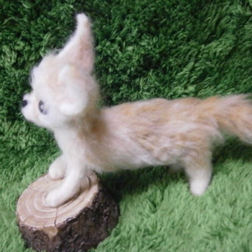 フェネックの子 羊毛フェルト いーちゃん 通販 864600｜Creema