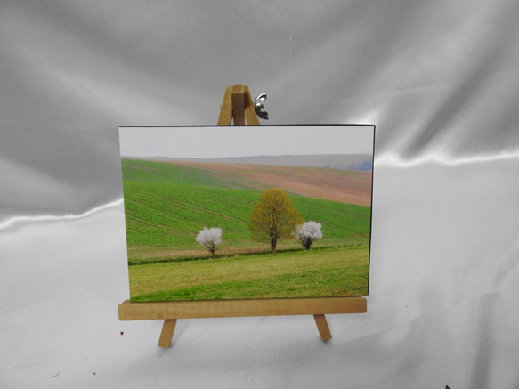 写真パネル「モラヴィア平原の春」 3枚目の画像