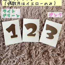 送料無料 マンスリーカード 月齢カード ☺︎ 3枚目の画像