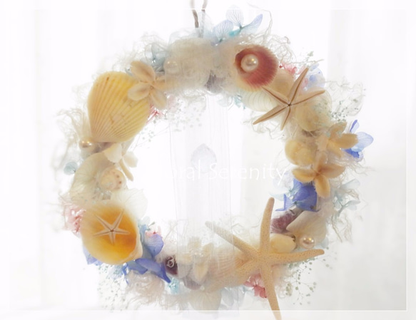【8月末までのsale】海の楽園～貝殻ヒトデのプリザーブドリース・Ｍサイズ～ 3枚目の画像