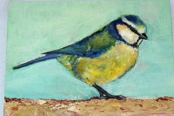 油絵・イラスト　青と黄色の小鳥　アオガラ　野鳥　ブルー　トリ 3枚目の画像