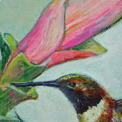 油絵・イラスト　ハチドリとピンクの花　小鳥　野鳥　トリ　植物 2枚目の画像