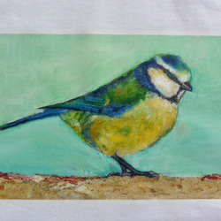ブルーの小鳥Tシャツ　鳥のTシャツ　野鳥　アオガラ　油絵をアイロンプリント　白・ホワイト 2枚目の画像