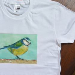 ブルーの小鳥Tシャツ　鳥のTシャツ　野鳥　アオガラ　油絵をアイロンプリント　白・ホワイト 4枚目の画像
