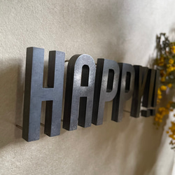 IRON ROGOPIN アイアンロゴピン「HAPPY‼︎」 3枚目の画像