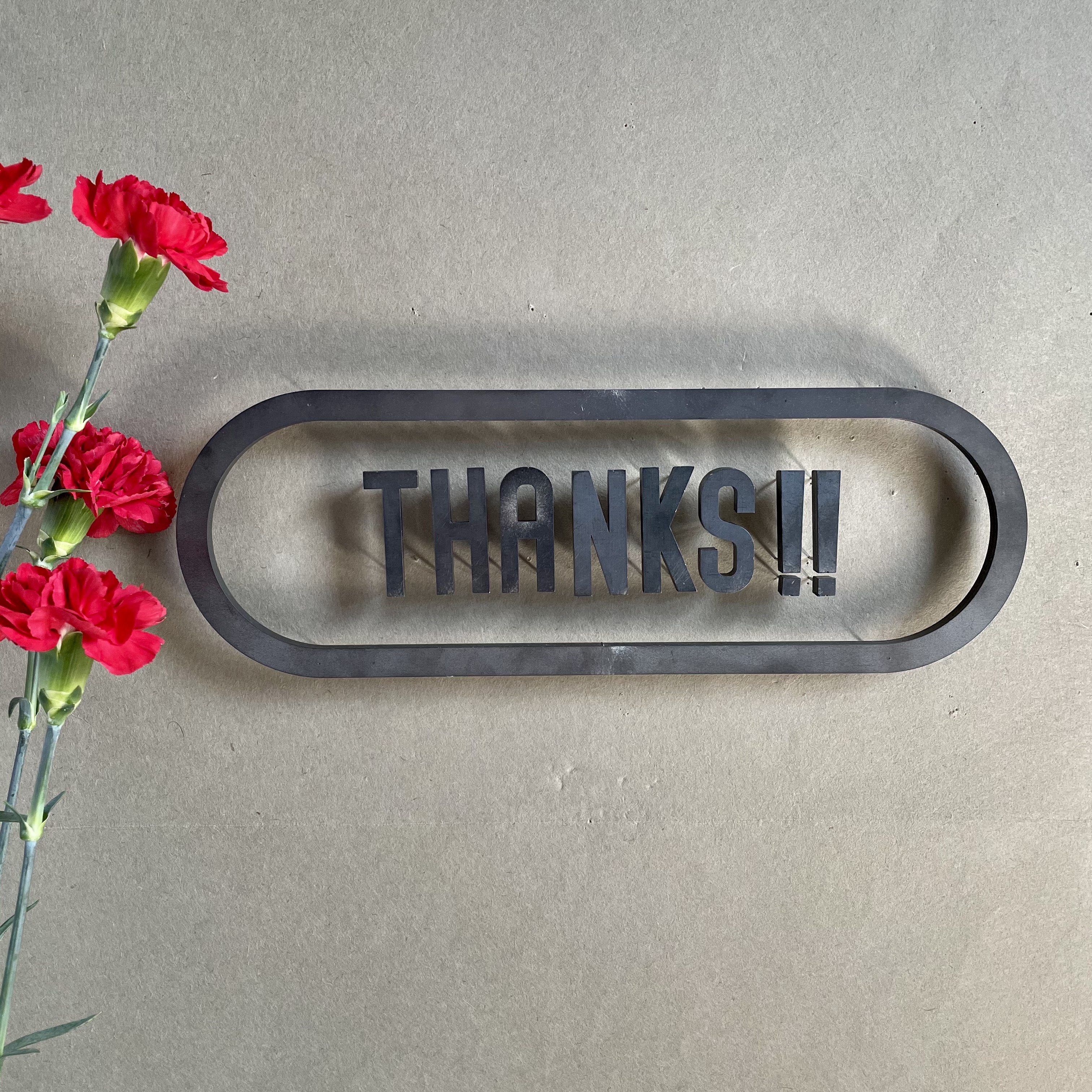 IRON ROGOPIN アイアンロゴピン「THANKS‼︎長丸枠