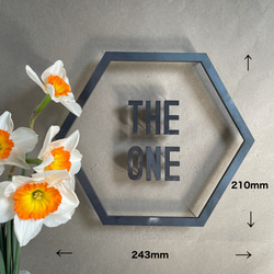 IRON ROGOPIN アイアンロゴピン「THE ONE」六角形枠 4枚目の画像
