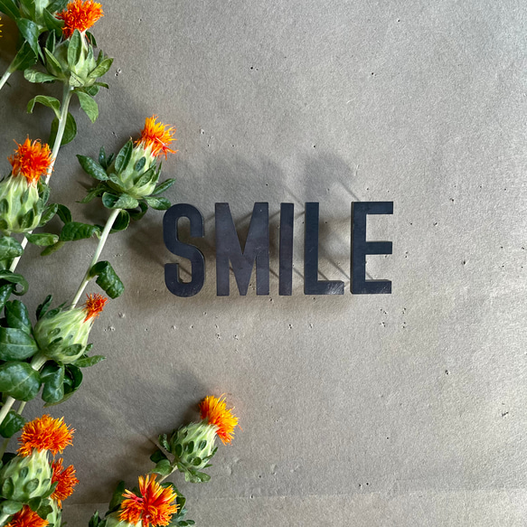 IRON ROGOPIN アイアンロゴピン「SMILE」 1枚目の画像