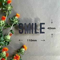 IRON ROGOPIN アイアンロゴピン「SMILE」 4枚目の画像