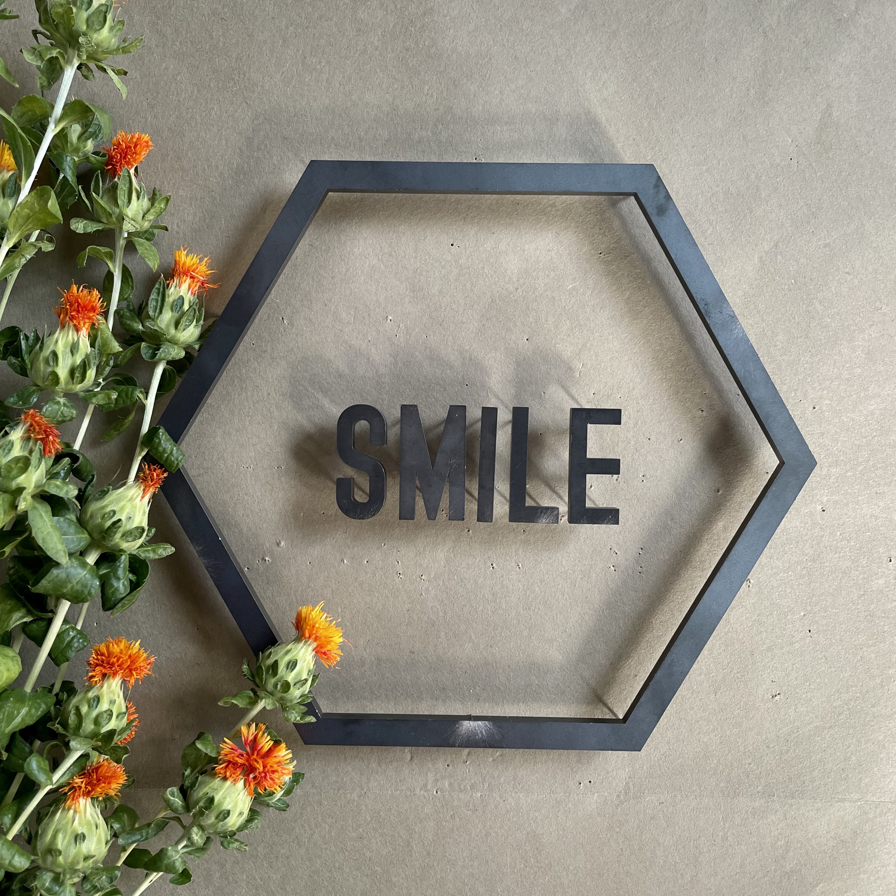 IRON ROGOPIN アイアンロゴピン「SMILE」六角形枠