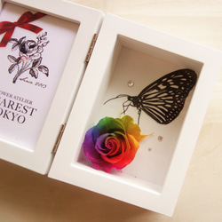 MEMORIES　“papillon”　レインボーローズと切り絵蝶々のフォトフレーム 3枚目の画像