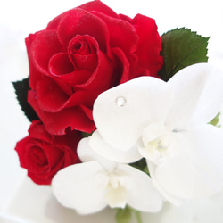 《名入れギフト☆メッセージ刻印》message ROSE “Bienvenue”　紅白のお祝いフラワーボックス 3枚目の画像