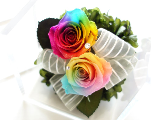 高級プリザーブドフラワー】レインボーローズ×レインボー