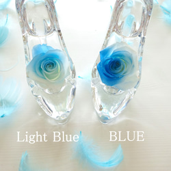 Cinderella “Half Blue”　ハーフブルーローズが彩るシンデレラのガラスの靴【半分青い】 2枚目の画像