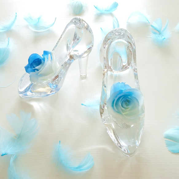 Cinderella “Half Blue”　ハーフブルーローズが彩るシンデレラのガラスの靴【半分青い】 3枚目の画像
