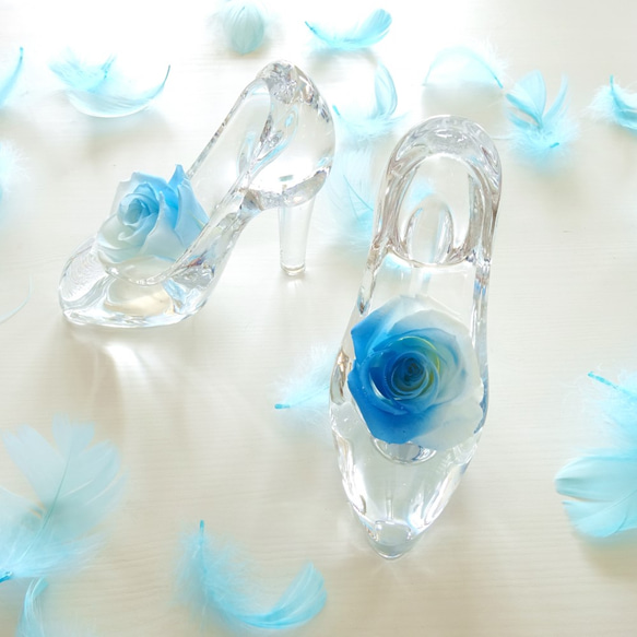 Cinderella “Half Blue”　ハーフブルーローズが彩るシンデレラのガラスの靴【半分青い】 4枚目の画像