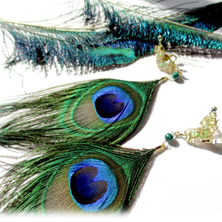 ピーコックフェザーとマラカイトのイヤリング／孔雀の羽根／孔雀石 2枚目の画像