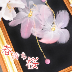 《春待ち桜》　〜フラミンゴのフェザー　桜ピアス〜　桜ハンドメイド2021 2枚目の画像