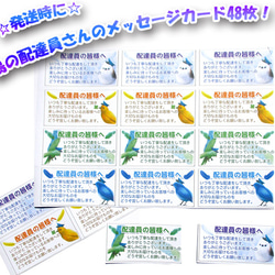 発送時に⭐︎鳥の配達員さんのメッセージカード48枚（絵柄は4種類・組み合わせは自由に選べます） 1枚目の画像