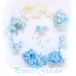 * Princess Garden ~ Cinderella~ * 〜夢見るプリンセスのイヤリング（シンデレラ）〜 10枚目の画像