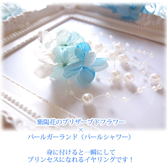 * Princess Garden ~ Cinderella~ * 〜夢見るプリンセスのイヤリング（シンデレラ）〜 3枚目の画像