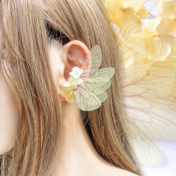 《エーディン》蝶の妖精のイヤーカフ 1枚目の画像