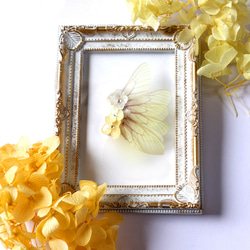 《エーディン》蝶の妖精のイヤーカフ 2枚目の画像