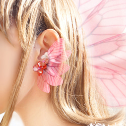《ラフレーズ》苺の妖精のイヤーカフ　〜紫陽花とシフォン羽根のイヤーカフ（イヤリング）〜 1枚目の画像