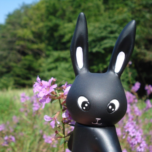 オリジナルキャラクター*黒うさぎの「ブラックラビフィー」*ブラビ