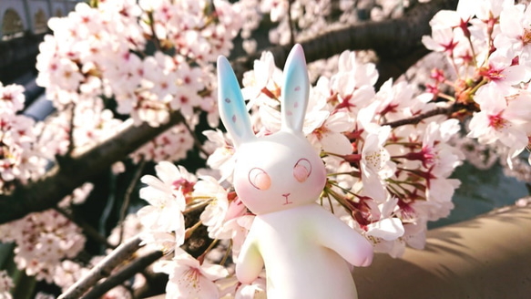 オリジナルキャラクター*ピンクオパール瞳の『桜ラビフィー』 1枚目の画像