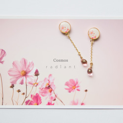 写真×ピアス PicturePierce(ミール)Cosmos 2枚目の画像