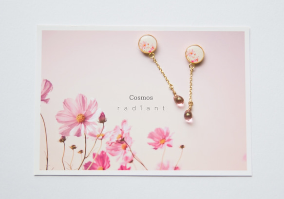 写真×ピアス PicturePierce(ミール)Cosmos 2枚目の画像