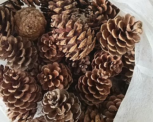 1_be098cfc8dc8623699fc8b55979c