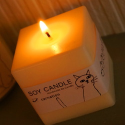 Soy Candle Cube（ソイワックス100％） 4枚目の画像