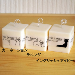 Soy Candle Cube（ソイワックス100％） 5枚目の画像
