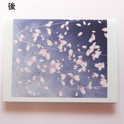 夜桜のミニメーセージカード2組セット 5枚目の画像