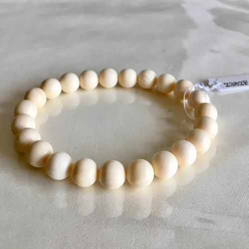 マンモスの牙 マンモスの牙004｜恐竜・化石グッズの専門店 ふぉっしる