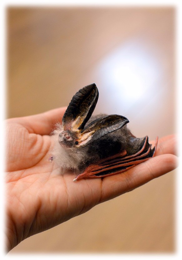 ニホンウサギコウモリ その他置物 おばけ＊ねこ 通販 1567443｜Creema