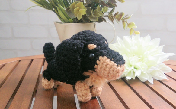 ダックスのあみぐるみ　188 ダックスのあみぐるみ 188 ダックスのあみぐるみ 188 0089632.jpg