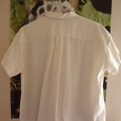 オーガニックコットン　ひょうたんフリルシャツ 4枚目の画像